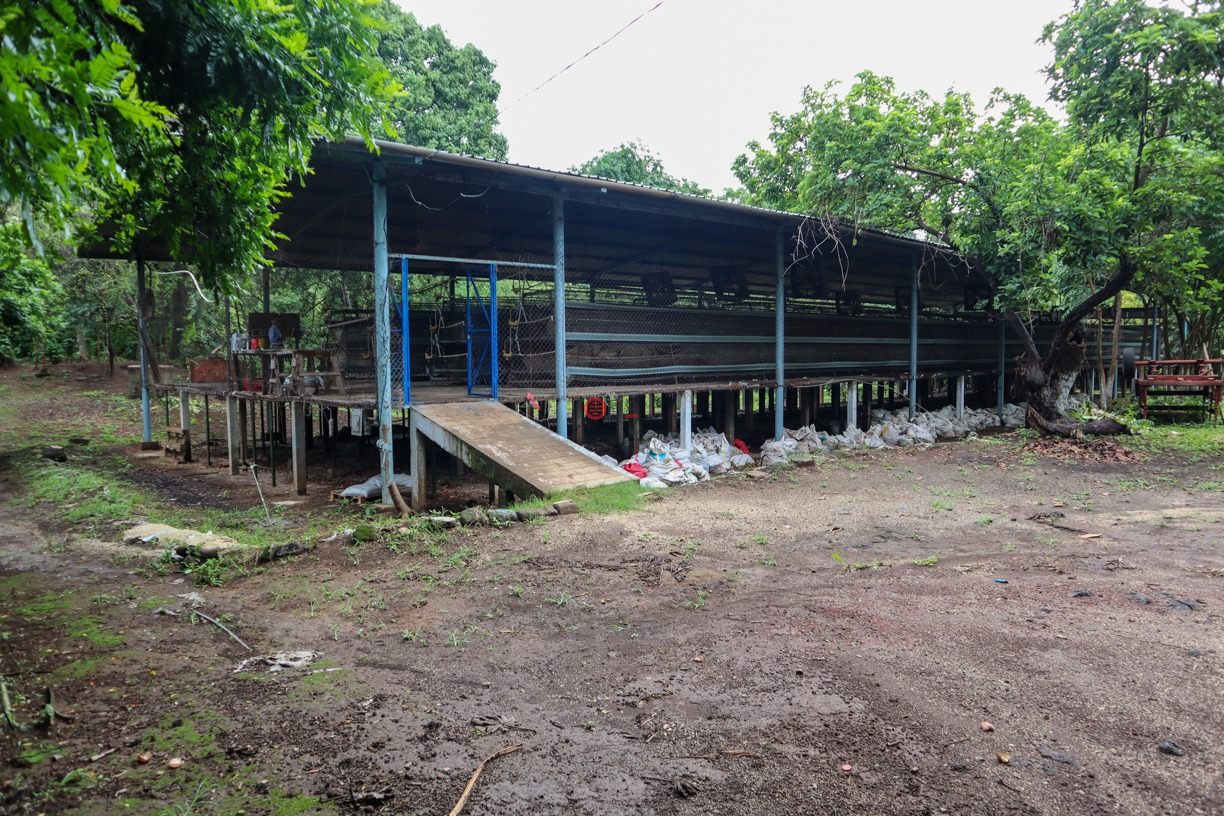 尼加拉瓜Masaya DepartmentMasaya的农场，Chicken Farm, Masatepe，编号71109579
