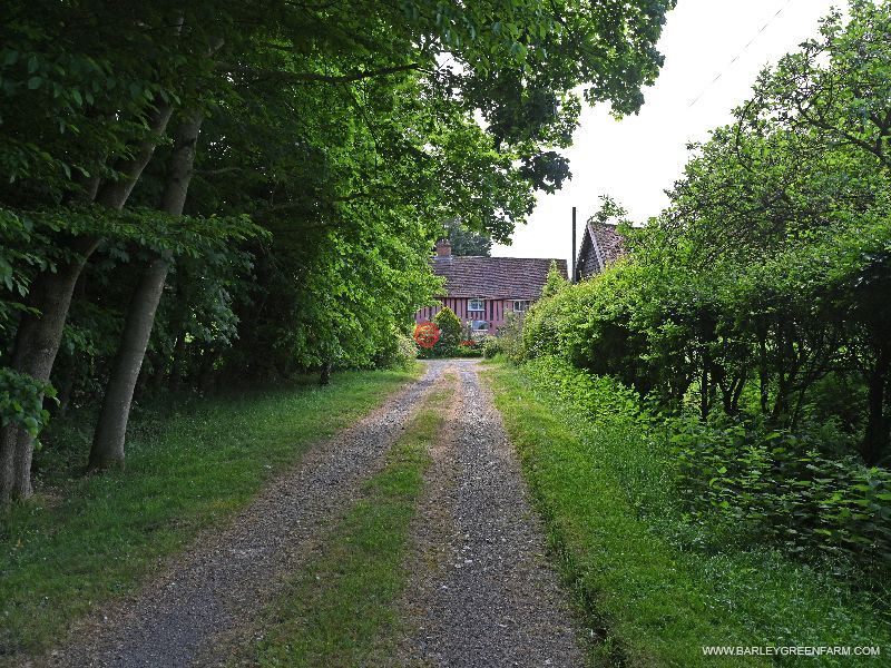 英国英格兰Stradbroke的独栋别墅，BARLEY GREEN FARM，编号78181683