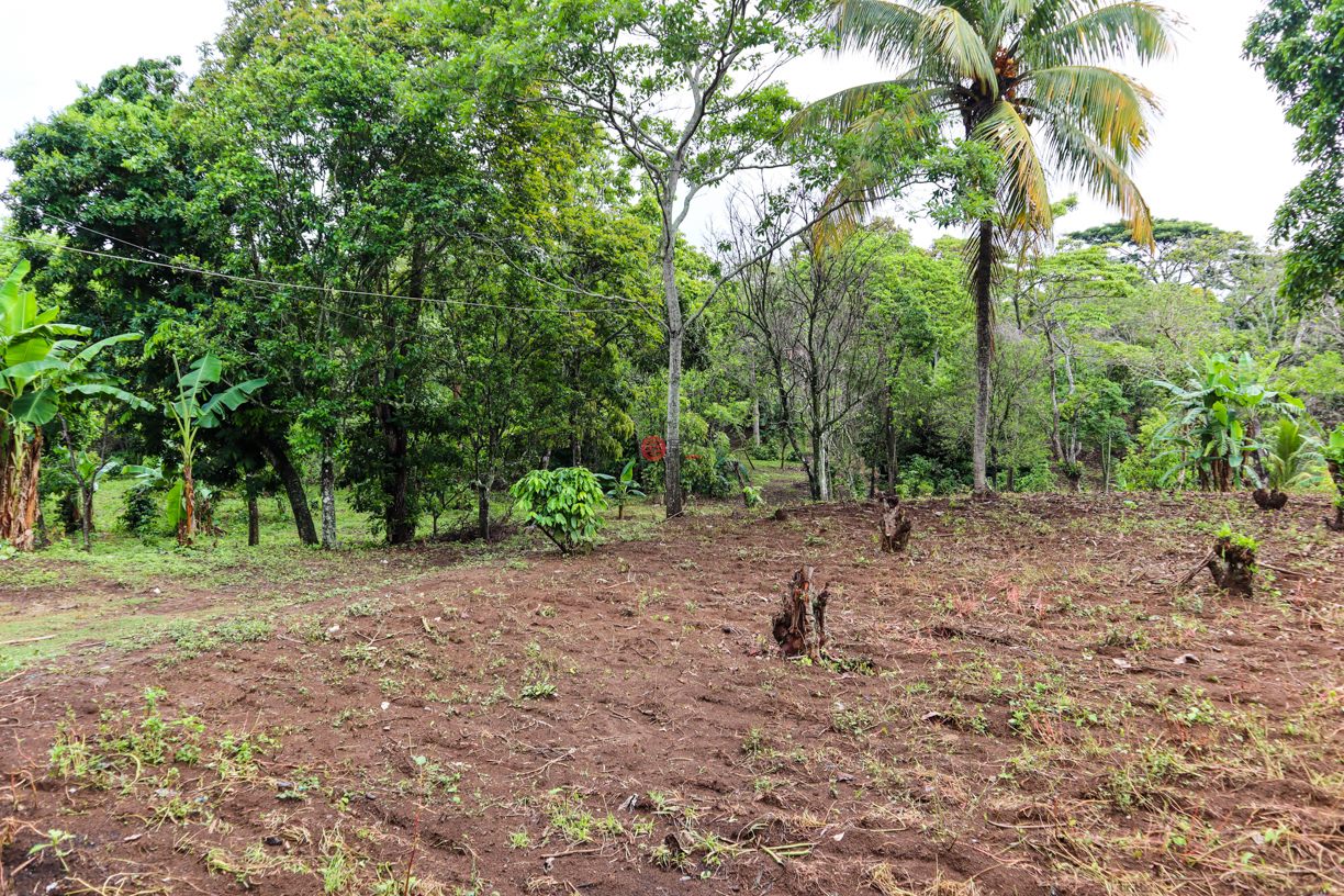 尼加拉瓜Masaya DepartmentMasaya的住宅用地，Finca de Frutas Niquinomo，编号71148301