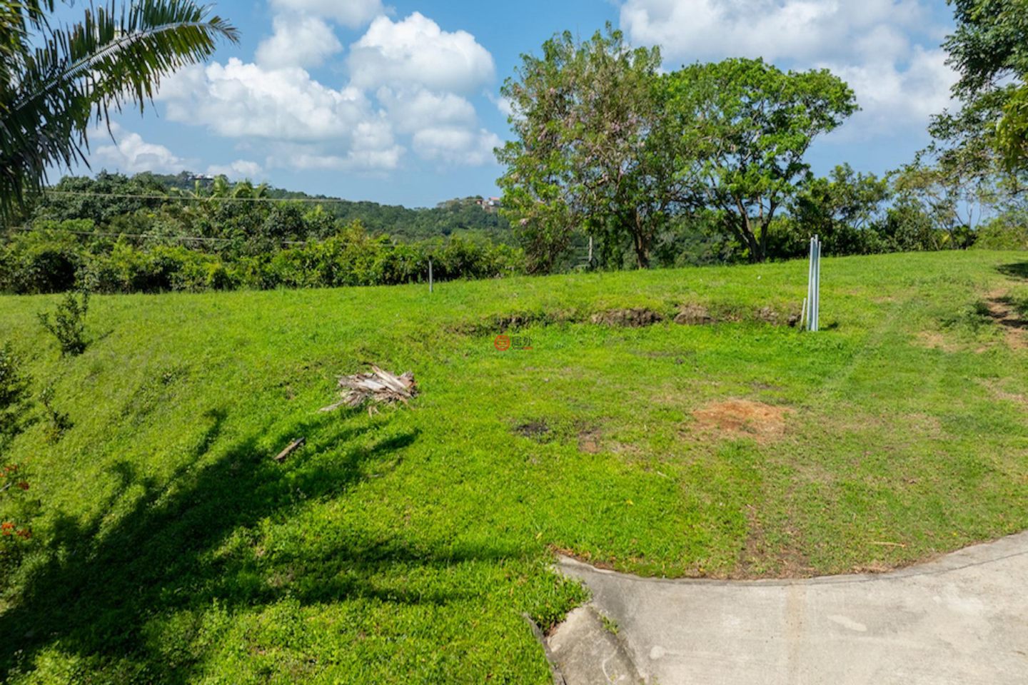 洪都拉斯海湾群岛Roatán的独栋别墅，Casita on 3 Acres Premier Land，编号76937988