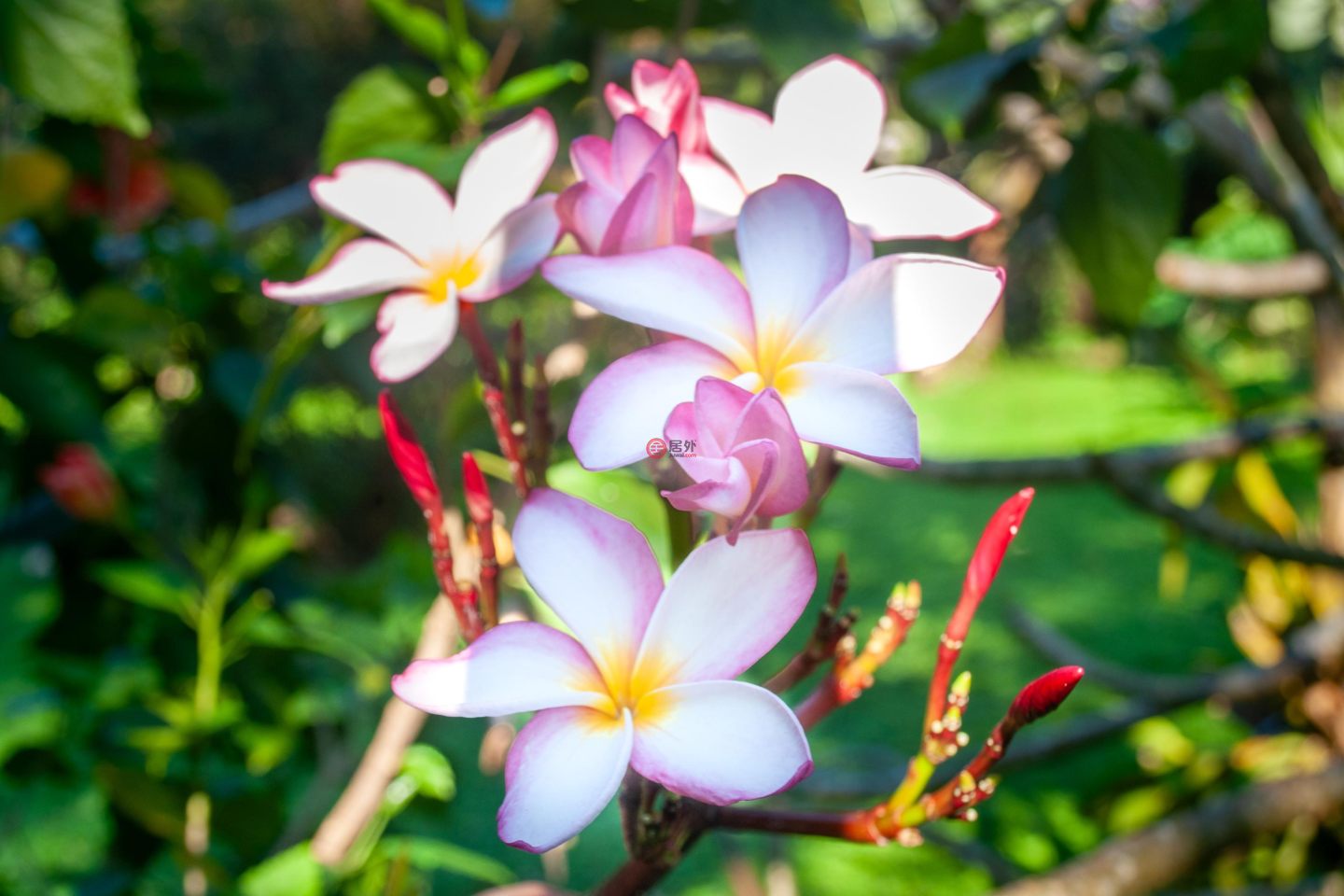 洪都拉斯海湾群岛瓜納哈島的独栋别墅，122 Acre Eco Estate with 3400 ft Beachfront，编号78468044