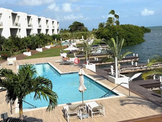 开曼群岛的公寓，458H21，编号78514607