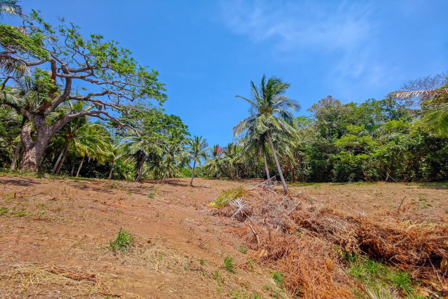 洪都拉斯海湾群岛Roatán的住宅用地，Beautiful Oceanfront Bluff Between West End & West Bay，编号78338279