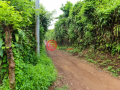 尼加拉瓜Masaya DepartmentMasaya的住宅用地，Finca de Frutas Niquinomo，编号71148301