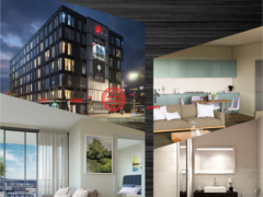 新西兰惠灵顿威灵顿的公寓，123 Taranaki Street，编号52893575