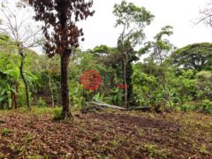 尼加拉瓜Masaya DepartmentMasaya的住宅用地，Finca de Frutas Niquinomo，编号71148301