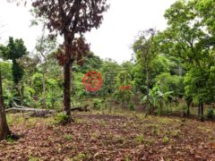 尼加拉瓜Masaya DepartmentMasaya的住宅用地，Finca de Frutas Niquinomo，编号71148301