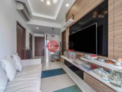 新加坡中星加坡新加坡的公寓，编号69994160
