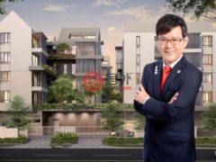 新加坡SingaporeSingapore的公寓，10 Evelyn，编号73983741