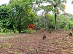 尼加拉瓜Masaya DepartmentMasaya的住宅用地，Finca de Frutas Niquinomo，编号71148301
