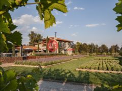 墨西哥瓜纳华托圣米格尔德阿连德的独栋别墅，Casa #8 Vinedos San Lucas，编号74515638