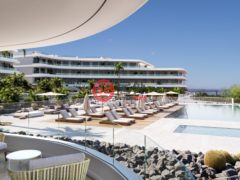 西班牙加那利群岛Santa Cruz de Tenerife的公寓，Adeje，编号71667360
