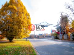加拿大安大略省尼亚加拉大瀑布的公寓，4181 Queen，编号76633335
