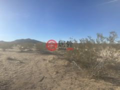 美国加州Joshua Tree的住宅用地，None Sunflower Road，编号77255024