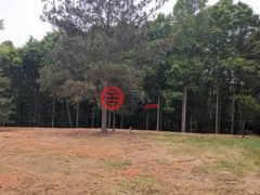 美国南卡罗来纳州艾诺丽的住宅用地，Highway 56，编号75611011