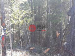 美国俄勒冈州Days Creek的农业用地，252 May Creek Rd，编号78344564