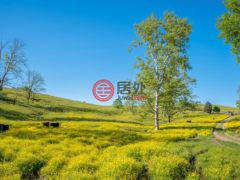 美国佛吉尼亚州卡斯尔伍德的独栋别墅，123 Luttie Banner Rd，编号77693740
