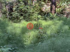 美国加州The Sea Ranch的住宅用地，42180 Deer Trail，编号70037549