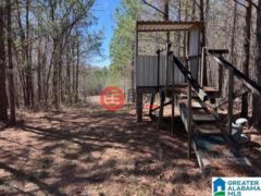 美国阿拉巴马州罗阿诺克的住宅用地，63 Ac. COUNTY ROAD 684，编号77510922