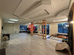 美国纽约州韦斯特伯里的零售，None 342 Post Avenue，编号76532266
