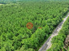 美国德克萨斯州拉夫金的住宅用地，5700 FM 2497，编号78442902
