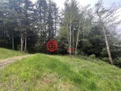美国俄勒冈州North Bend的住宅用地，None 94253 MISTY RIDGE LN，编号78361531
