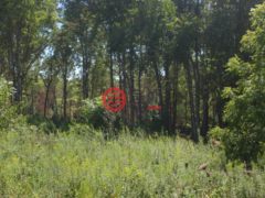 美国肯塔基州London的住宅用地，None 26 Cliff Line Drive，编号65164516
