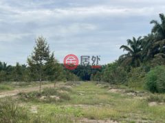 马来西亚柔佛峇株巴辖的农业用地，Parit Sagil，编号78248731