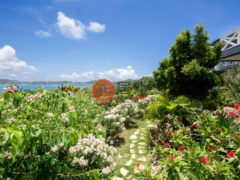 安提瓜/巴布达的独栋别墅，Villa Vanguard Turtle Bay，编号77921641