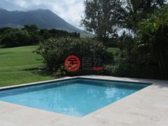 圣克里斯托弗和尼维斯岛NevisSt. Thomas Lowland的独栋别墅，Nevisian Retreat Palm Grove Villa 1437，编号77810516