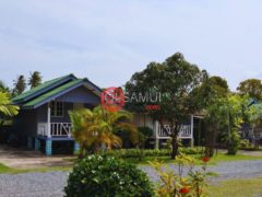 泰国素叻府苏梅岛的公寓，Bophut Koh Samui Suratthani Thailand，编号73560932