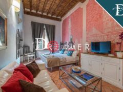 意大利TuscanyFirenze的公寓，Piazza Della Signoria2，编号78210221