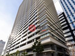 日本JapanOsaka的公寓，编号77917078