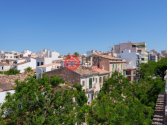 西班牙Balearic IslandsPalma的公寓，Palma，编号77884939