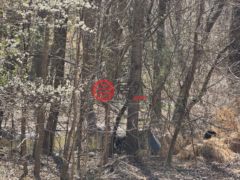 美国北卡罗莱纳州罗克斯伯勒的农业用地，Broad Road，编号77147345