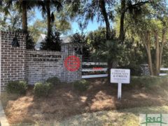 美国佐治亚州米德韦的住宅用地，None Lot 87 Oyster Point Drive，编号58068949