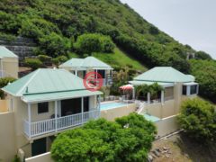 英属维尔京群岛的独栋别墅，Villa Rosa Belmont，编号76161965