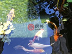 巴巴多斯Northern DistrictSaint James的公寓，High Cane Sandy Lane，编号65696520