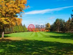 加拿大魁北克Brownsburg的多单元，2105 Route du Nord，编号78488909