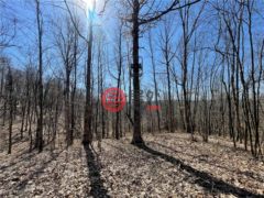 美国俄亥俄州新费城的农业用地，VL SE Wainwright Road SE，编号77010205