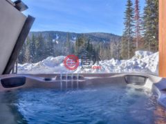 加拿大不列颠哥伦比亚省Sun Peaks的公寓，7005 MCGILLIVRAY LAKE，编号75523416