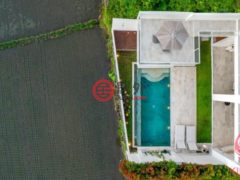 印尼巴厘岛Gianyar的独栋别墅，Jl. Sawah Indah Peliatan Kecamatan Ubud Kabupaten Gianyar B，编号78050121