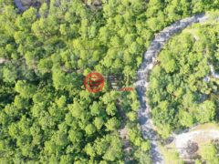 美国佛罗里达州圣德肋撒的农业用地，142 WINDING TRAIL WAY，编号65642956