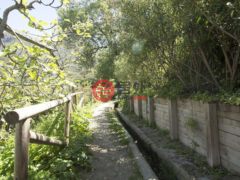 西班牙安达卢西亚Istán的公寓，编号77647530
