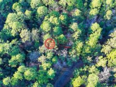 美国德克萨斯州Brookeland的住宅用地，None 22 Sumac Drive，编号77805803