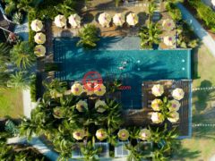 圣克里斯托弗和尼维斯岛NevisSt. Thomas Lowland的公寓，Nevis Peak Residences 4-204，编号77683418