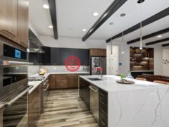 美国科罗拉多州莫纽门特的独栋别墅，16244 Thunder Cat Way，编号77889215