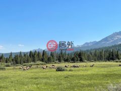 美国爱达荷州斯坦利的住宅用地，None Tbd Hwy 21，编号77638144