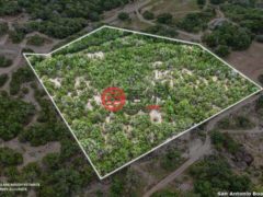 美国德克萨斯州派普克里克的住宅用地，None Lot 41 W Bear Springs RD，编号78324068