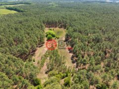美国密西西比州Purvis的独栋别墅，None 703 AC +/- Purvis to Baxterville Rd.，编号77697984